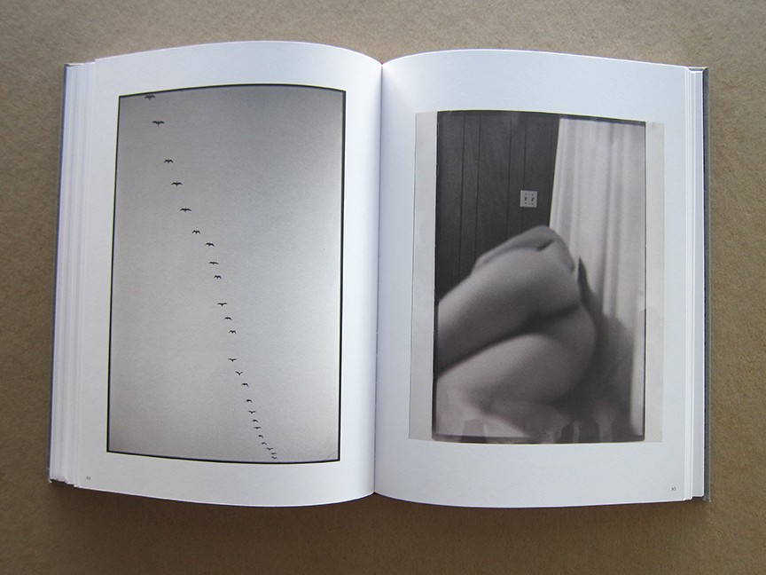 https://www.ed-templeton.com/files/gimgs/th-135_Wayward Cognitions 2.jpg